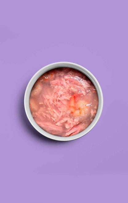 10 In gelatina - Tonno & gamberetti - 4 x 70g