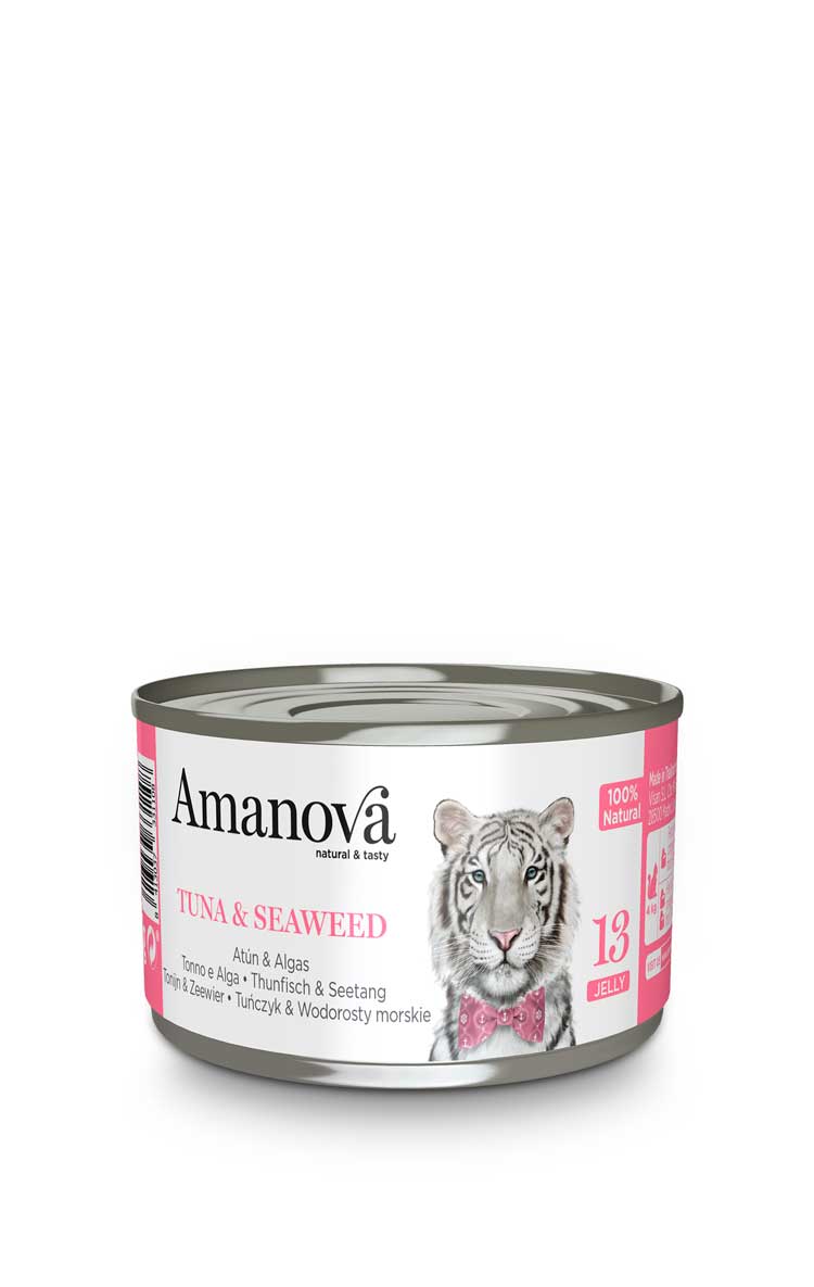 13 In gelatina - Tonno & alga - 4 x 70g