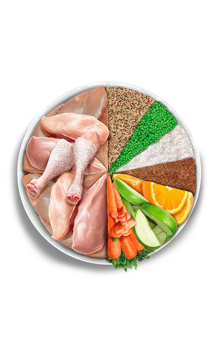 Sterilised Cat - Exquisite Chicken - Pollo fresco