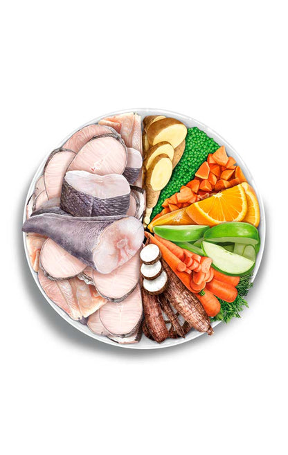 Sterilised Cat - Fish Delicacy - Pesce bianco fresco