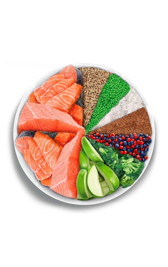 Sterilised Cat - Salmon Deluxe - Salmone fresco