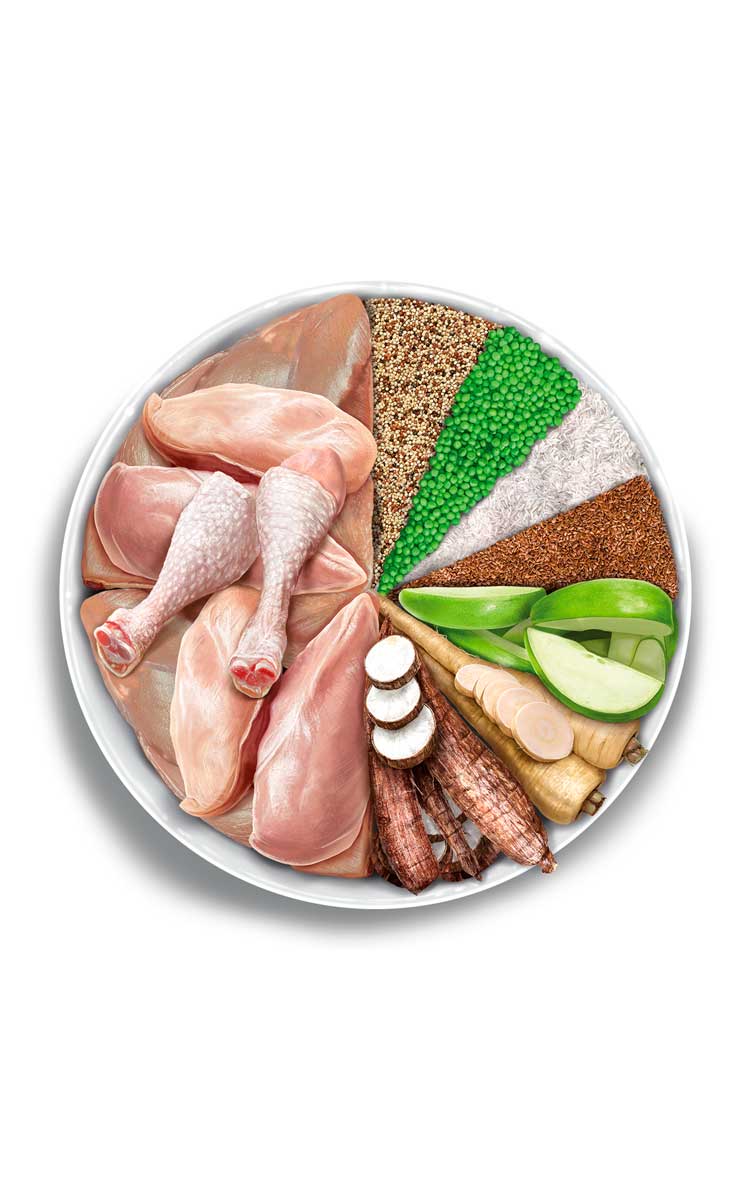 Adult Cat - Exquisite Chicken - Pollo fresco