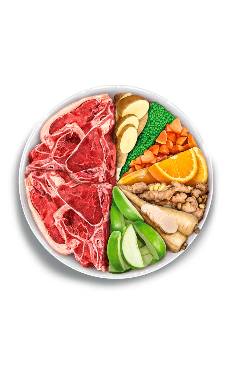 Adult exigent - Iberian Pork - Maiale iberico fresco