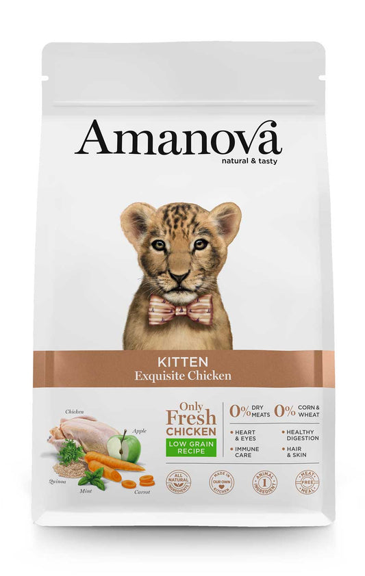 Kitten - Exquisite Chicken - Pollo fresco