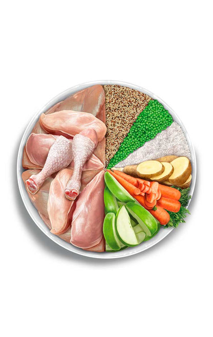 Kitten - Exquisite Chicken - Pollo fresco