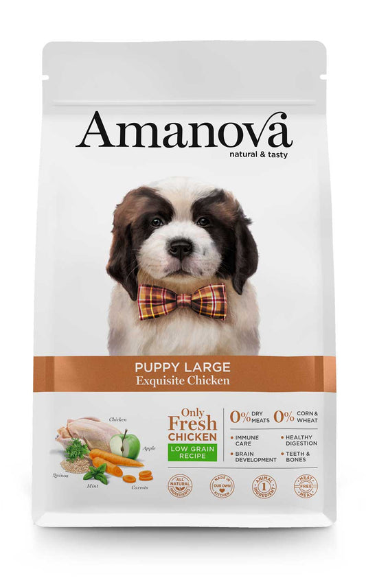 Puppy large - Exquisite Chicken - Pollo fresco