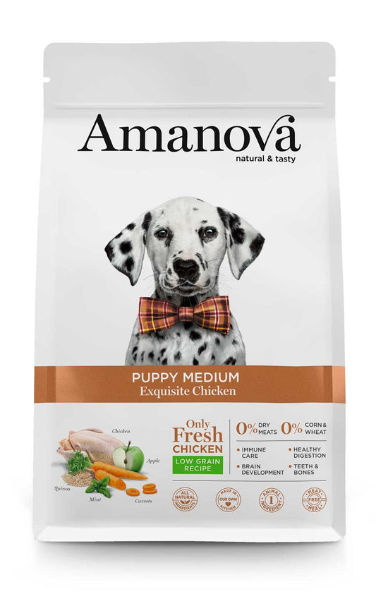 Puppy medium - Exquisite Chicken - Pollo fresco