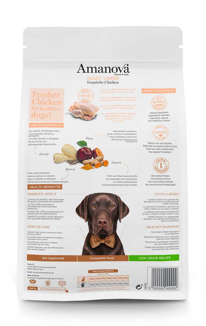 Adult large - Exquisite Chicken - Pollo fresco