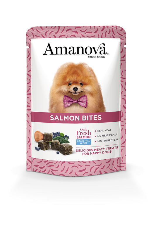 Salmon bites - Bocconcini Di Carne - Salmone Fresco