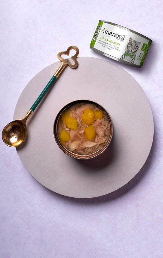 17 In brodo - Tonno e Mango - 4 x 70g