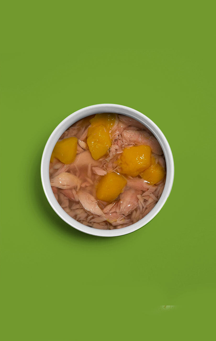 17 In brodo - Tonno e Mango - 4 x 70g
