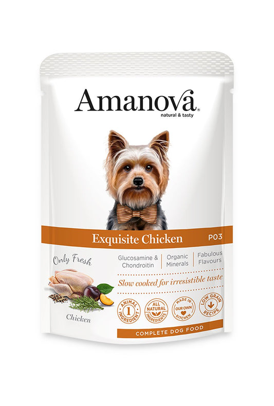 Exquisite Chicken - Pollo fresco - alimento umido