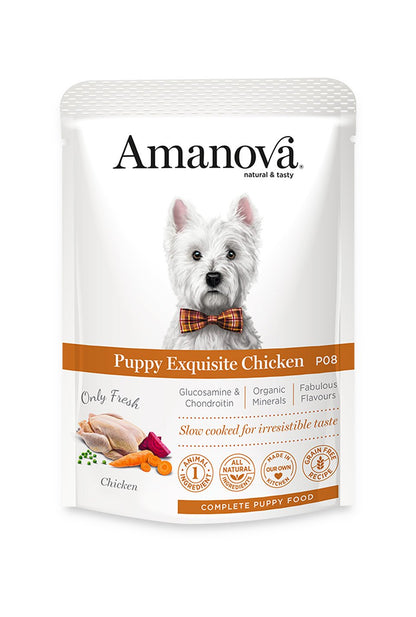 Puppy Exquisite Chicken - Pollo fresco - alimento umido