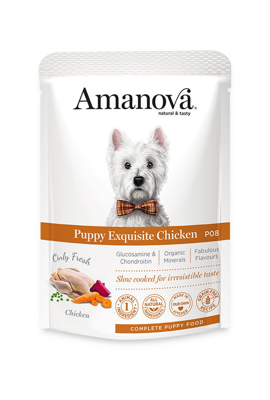 Puppy Exquisite Chicken - Pollo fresco - alimento umido